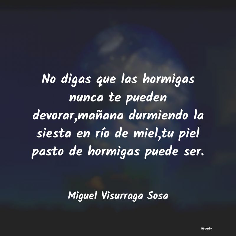 frases de Miguel Visurraga Sosa