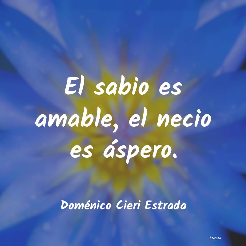 Frases de Doménico Cieri Estrada