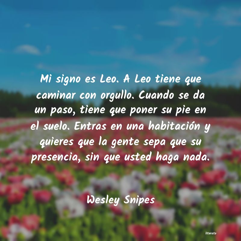 Frases de Wesley Snipes