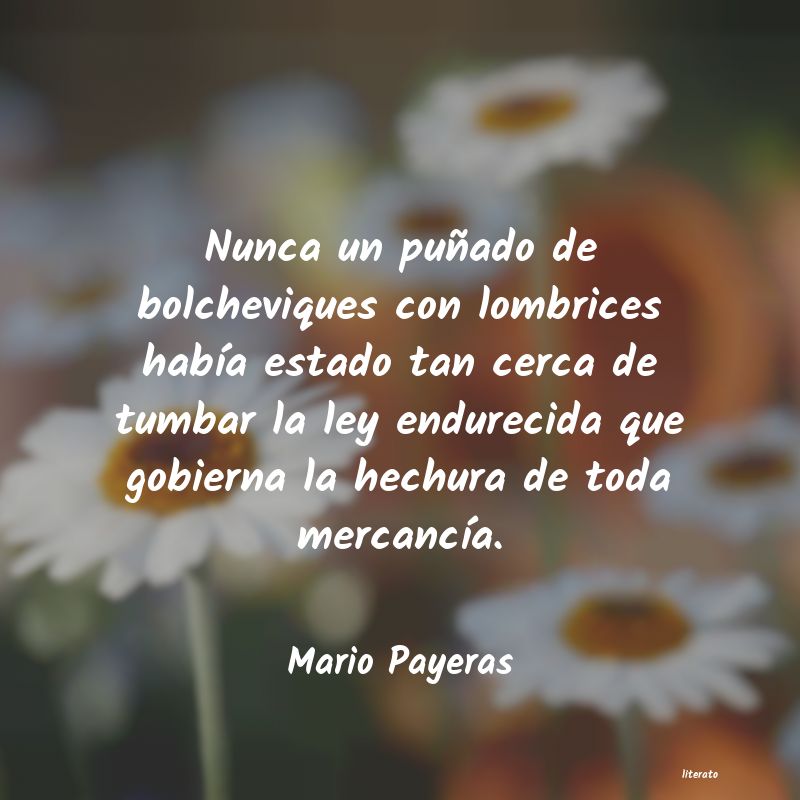 Frases de Mario Payeras