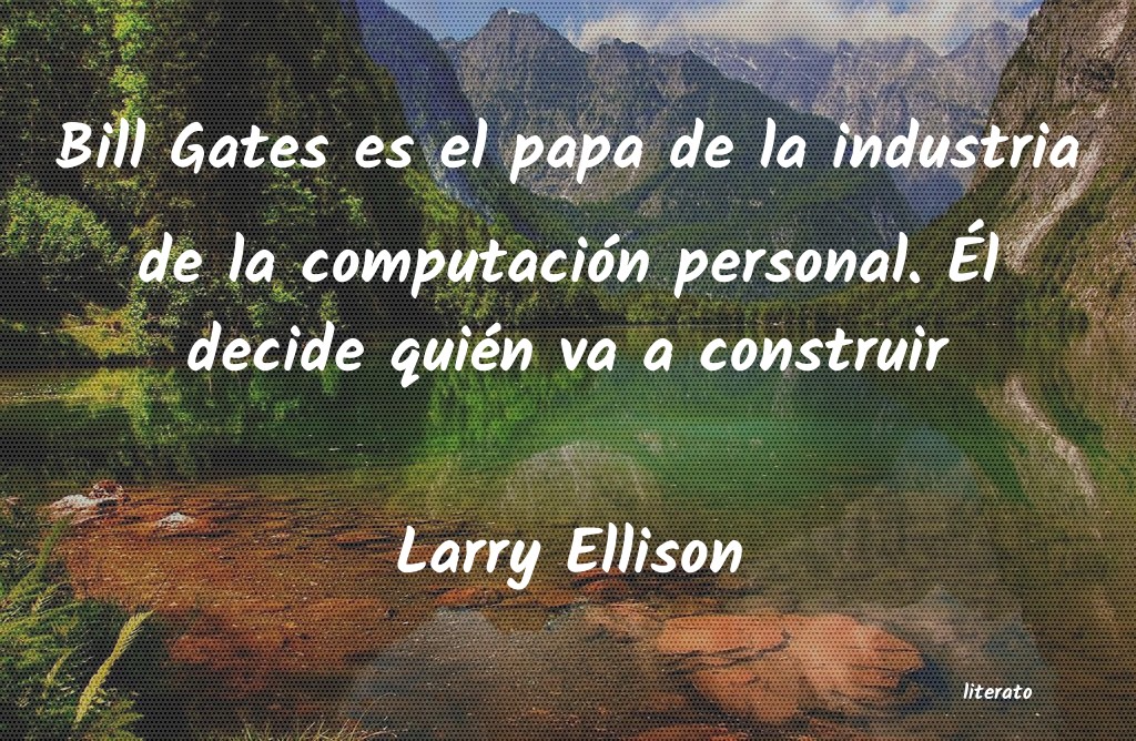 Frases de Larry Ellison