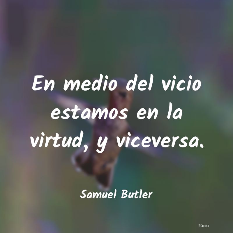 Frases de Samuel Butler