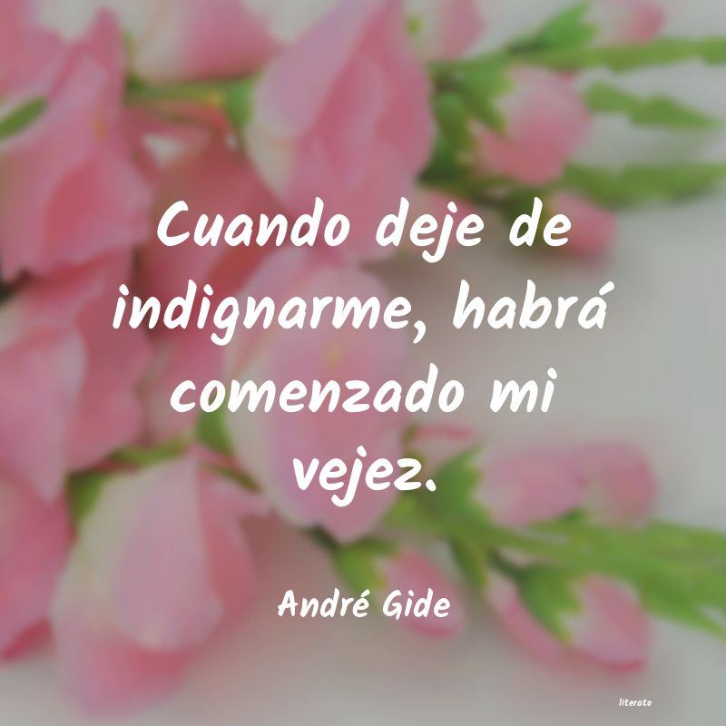 Frases de André Gide