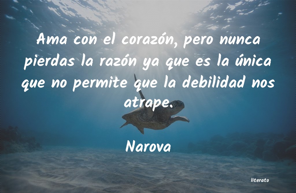frases de Narova
