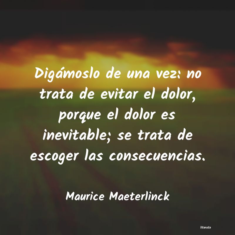 frases de Maurice Maeterlinck