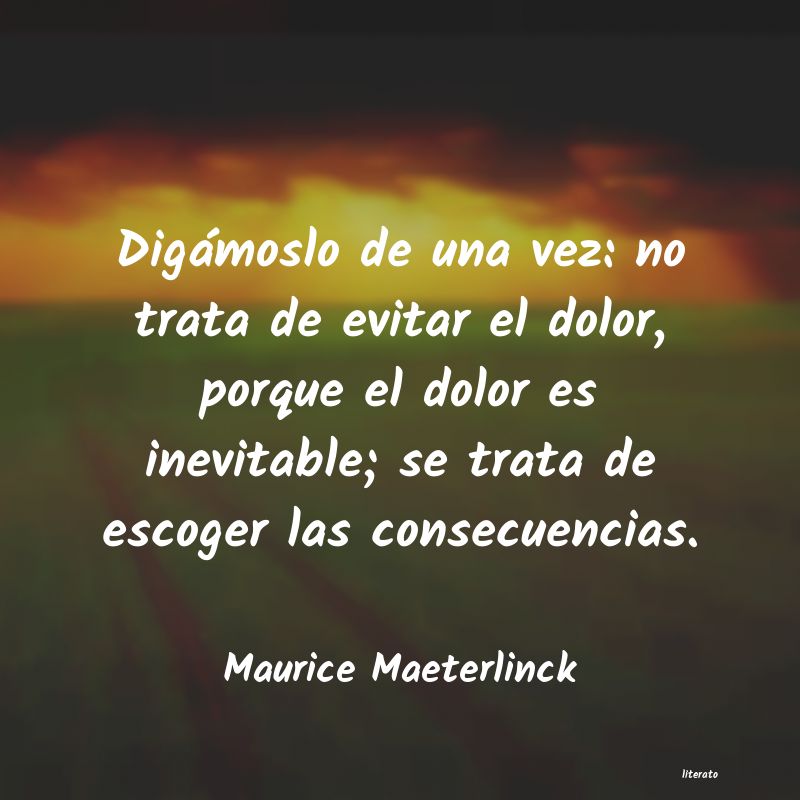 Frases de Maurice Maeterlinck