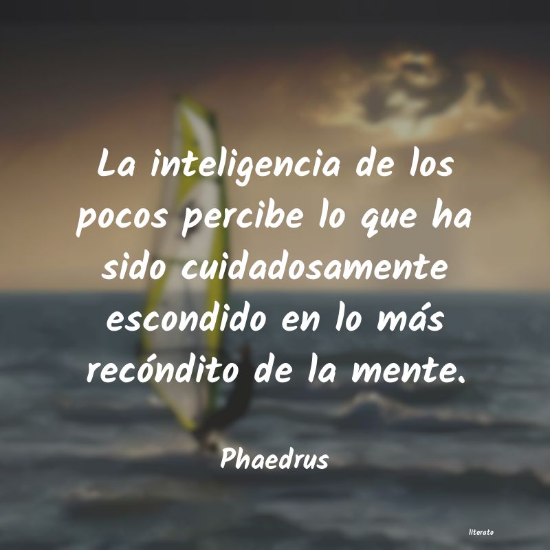 frases de Phaedrus