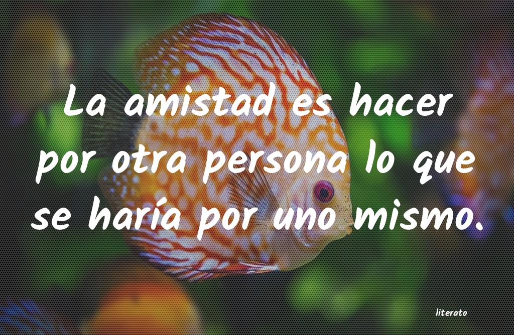 frases