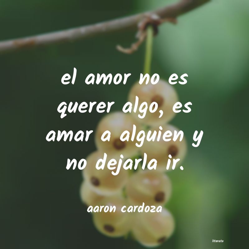 Frases de aaron cardoza