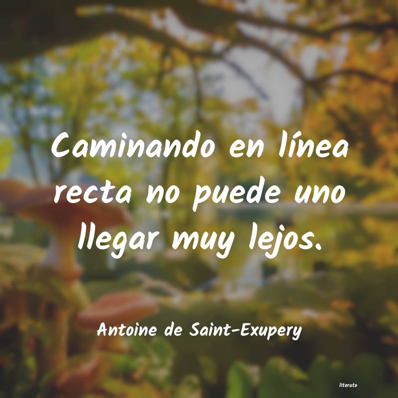 Frases de Antoine de Saint-Exupery