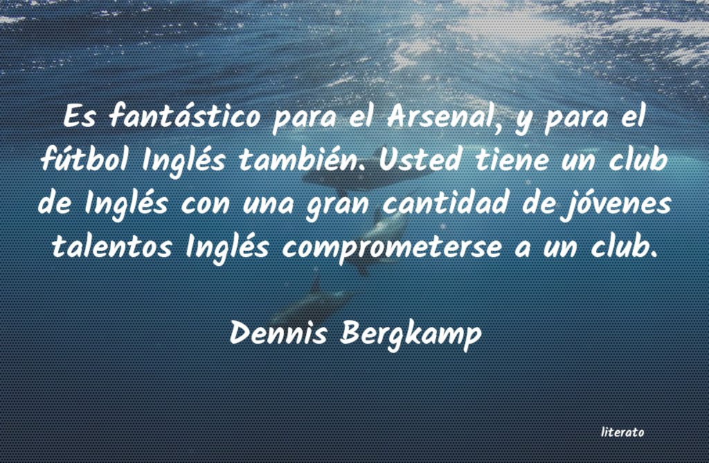 frases de Dennis Bergkamp