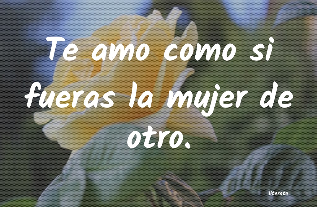 frases
