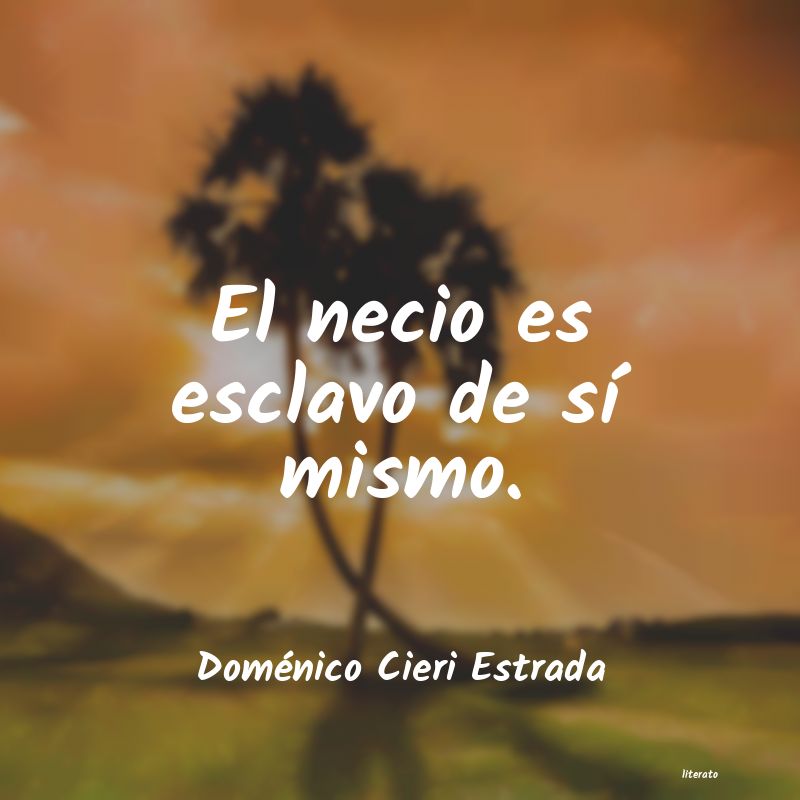 Frases de Doménico Cieri Estrada