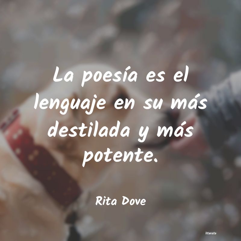 frases de Rita Dove