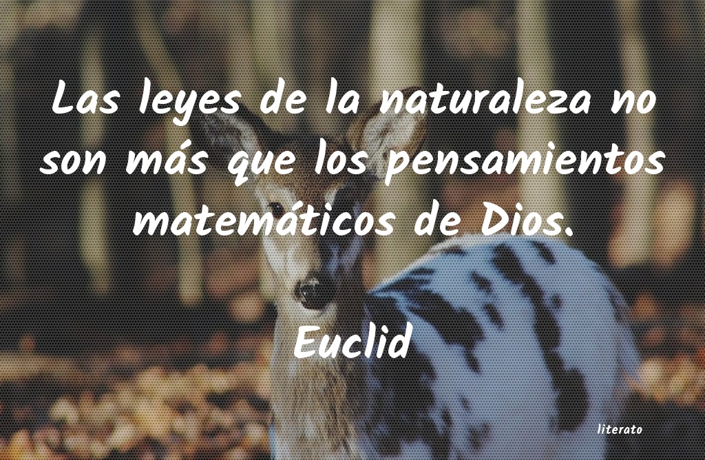 Frases de Euclid