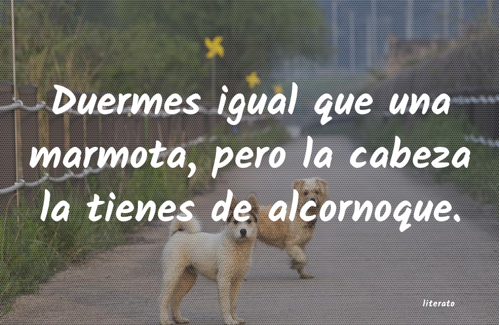 frases