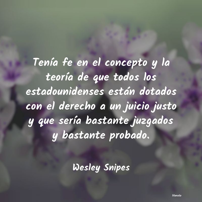 frases de Wesley Snipes