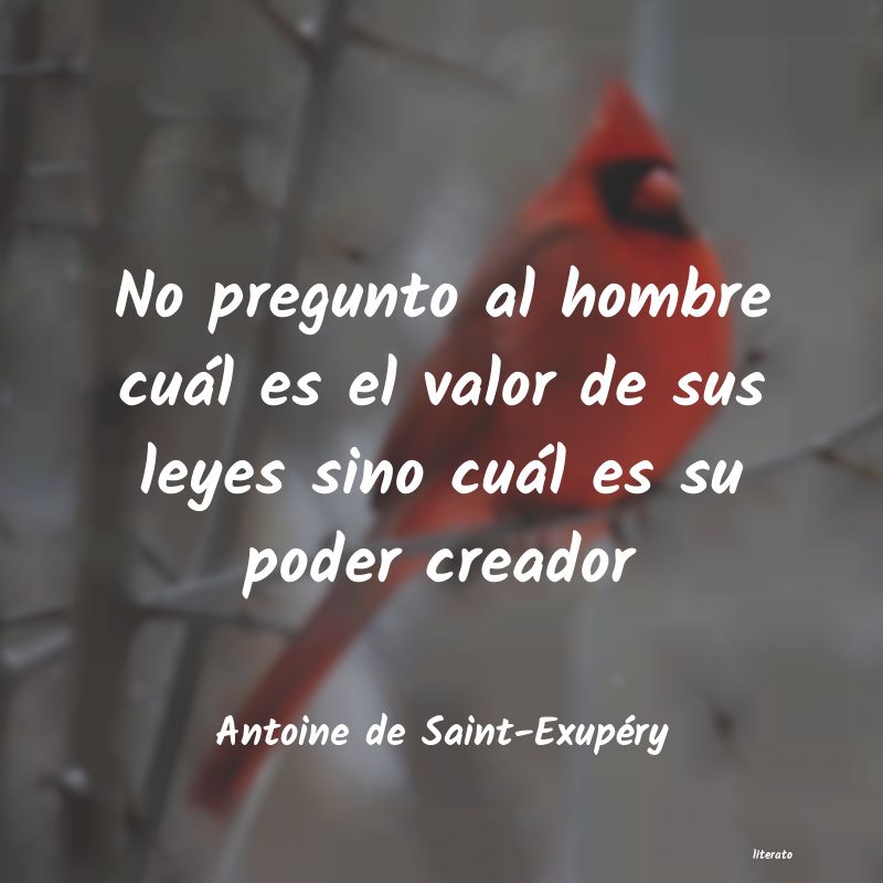 Frases de Antoine de Saint-Exupéry