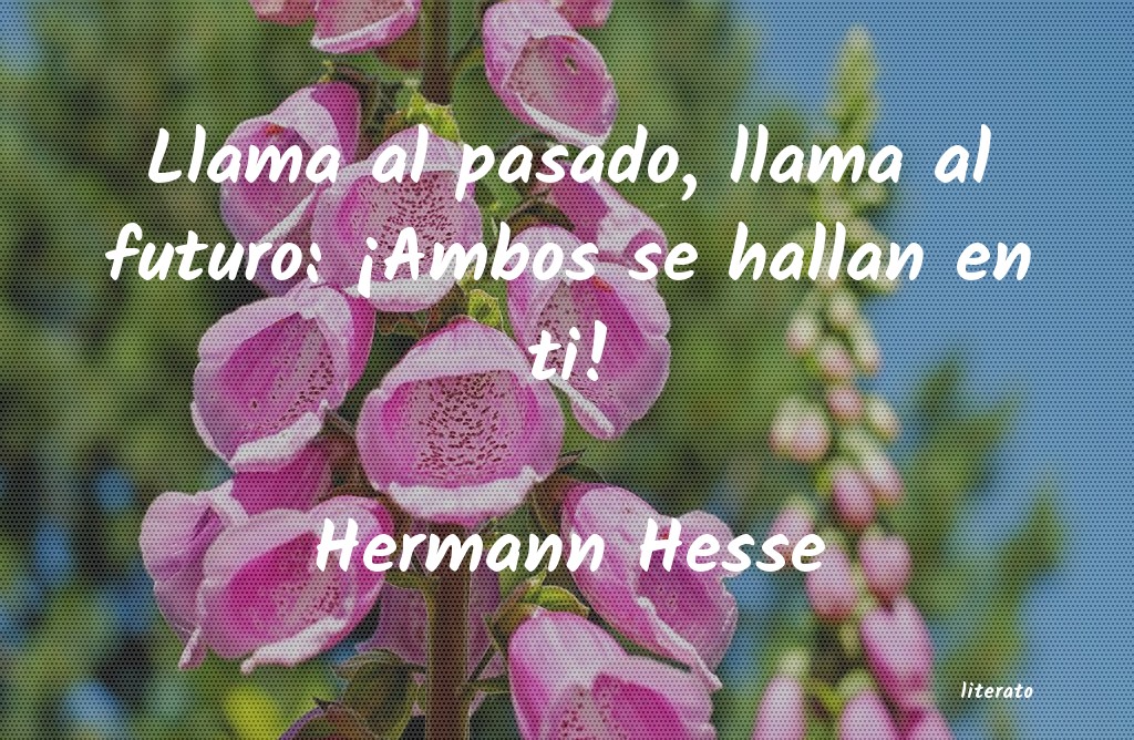 frases de Hermann Hesse