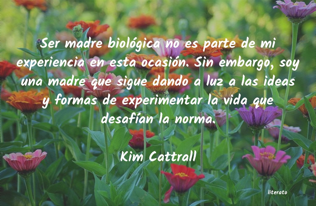 Frases de Kim Cattrall