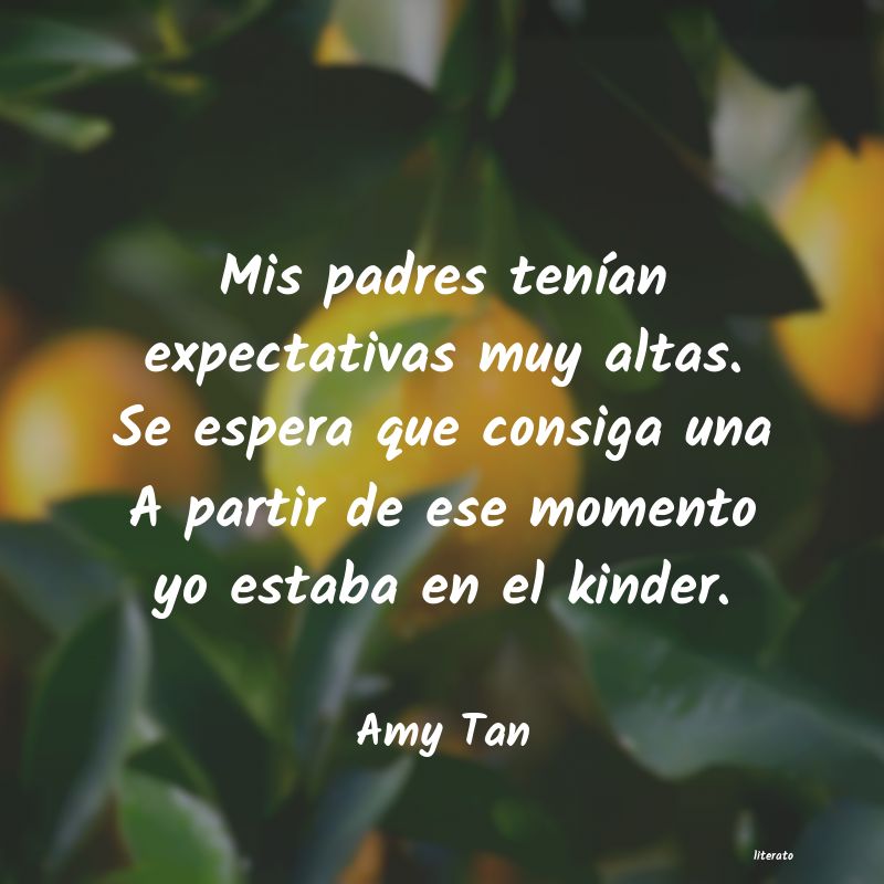 Frases de Amy Tan