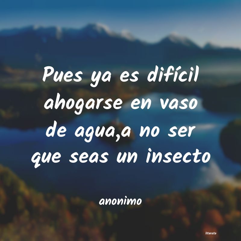 frases
