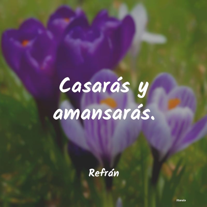 frases de Refrán