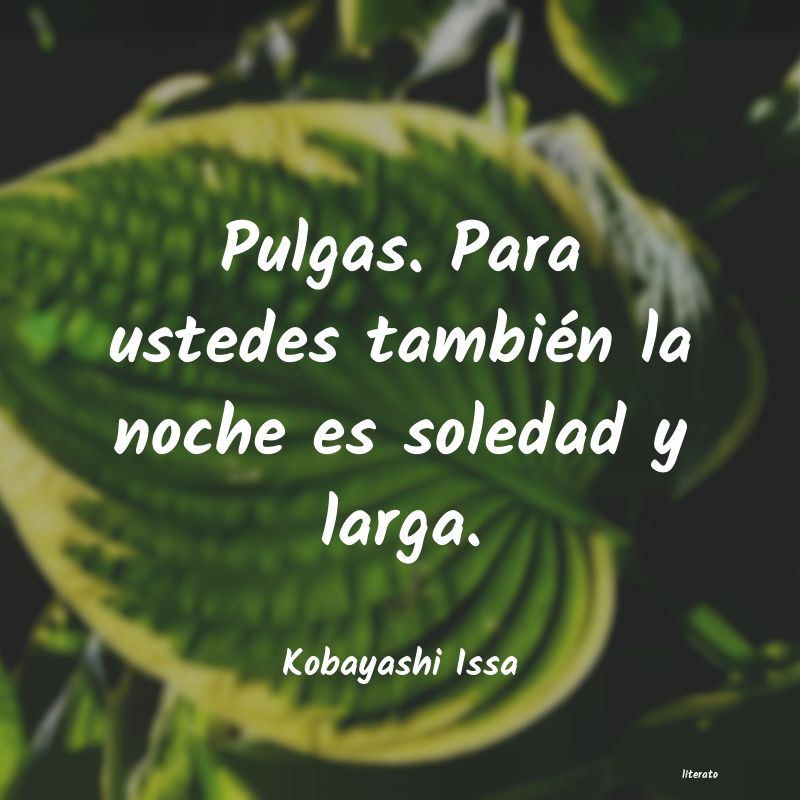 Frases de Kobayashi Issa