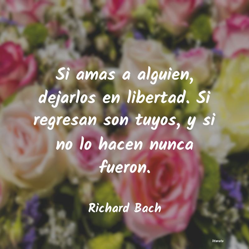 richard bach nunca te conceden un deseo