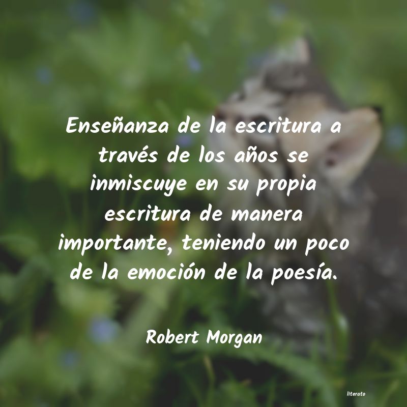 Frases de Robert Morgan