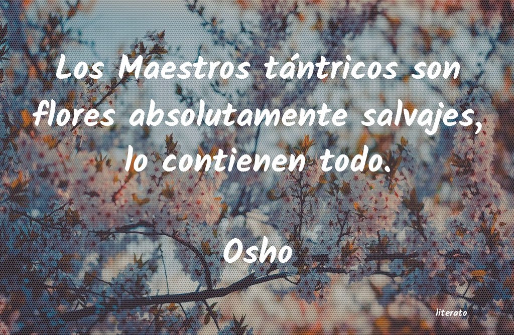 Frases de Osho