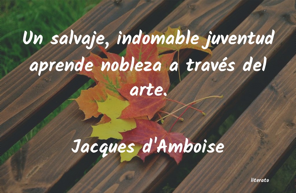 Frases de Jacques d'Amboise