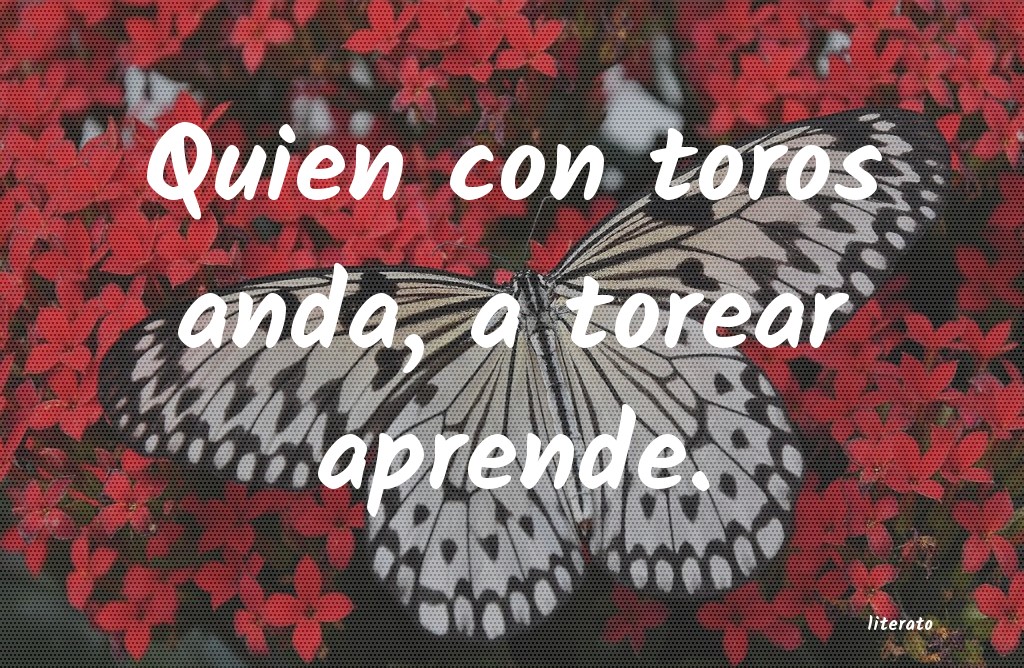 frases