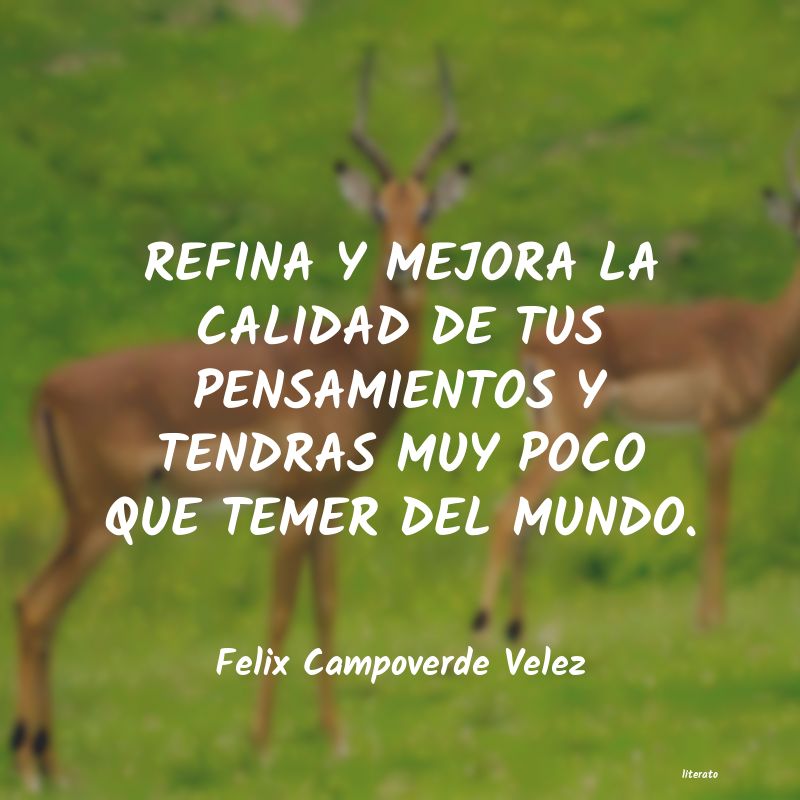 Frases de Felix Campoverde Velez