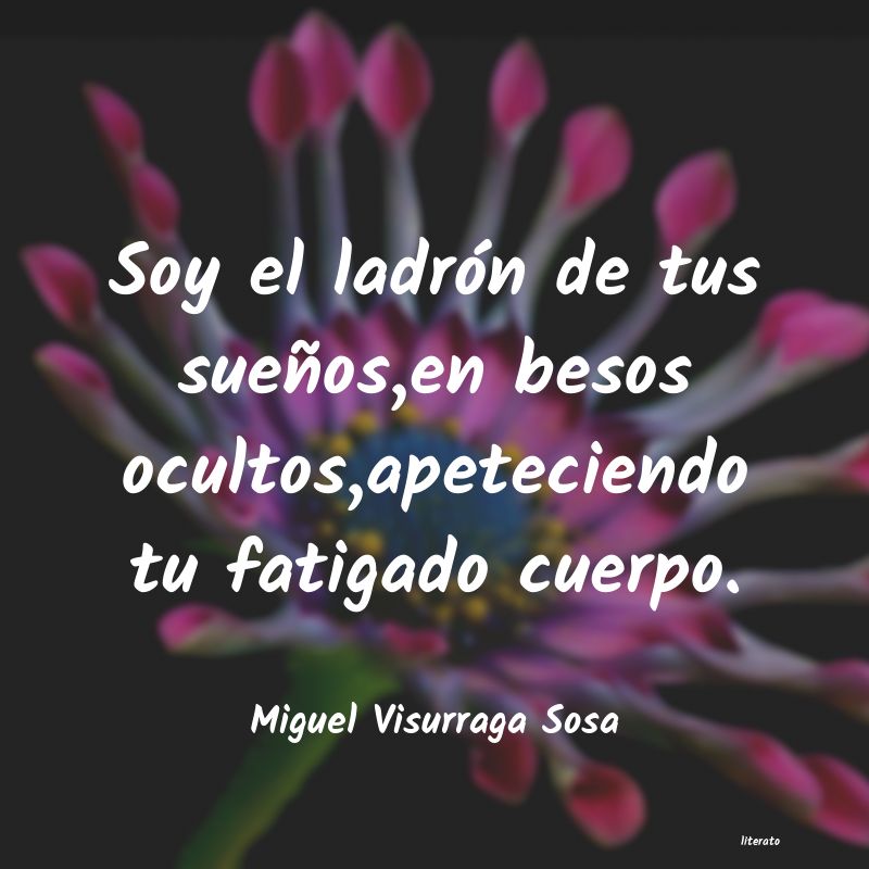 frases de Miguel Visurraga Sosa