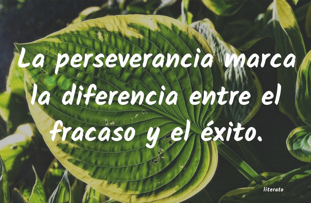 frases
