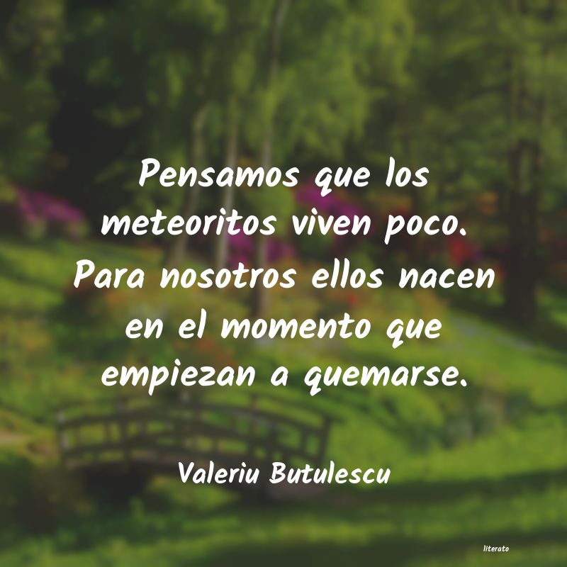 Frases de Valeriu Butulescu