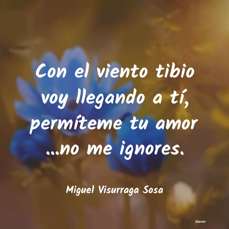 Miguel Visurraga Sosa: Besos,caricias, llenos de tern