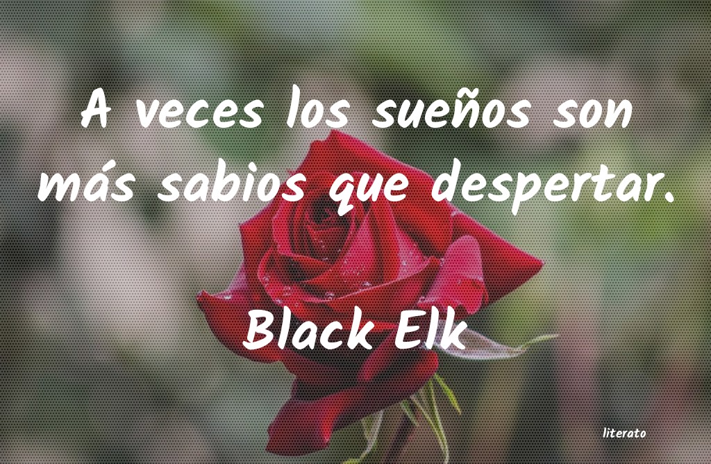 frases de Black Elk