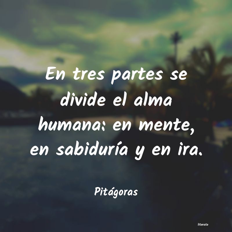 Frases de Pitágoras