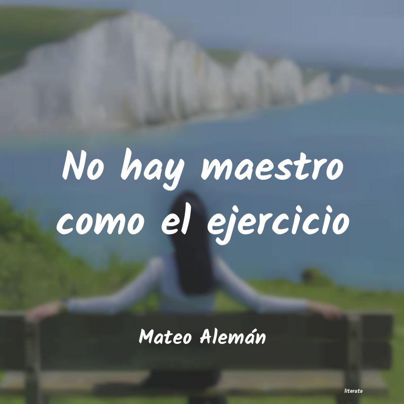 Frases de Mateo Alemán