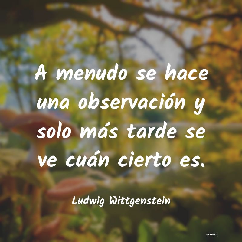 Frases de Ludwig Wittgenstein