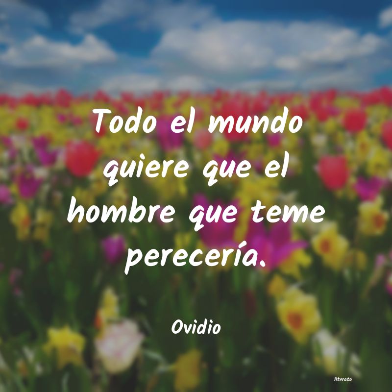 frases de Ovidio