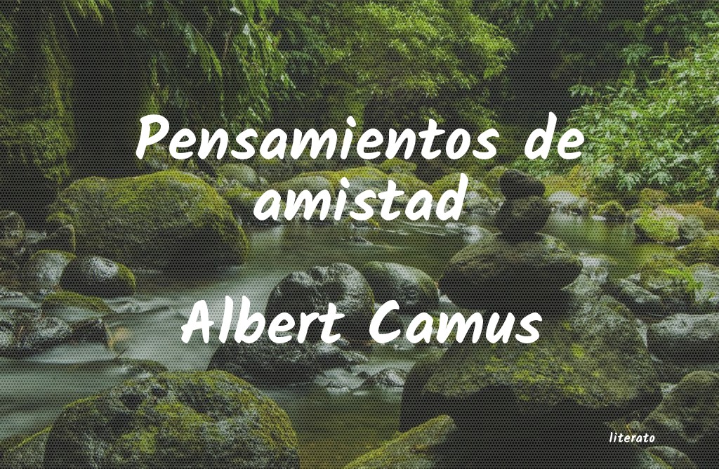 Frases de Albert Camus