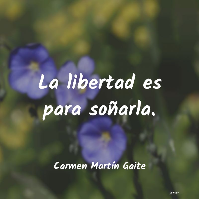 Frases de Carmen Martín Gaite