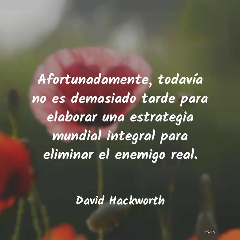 frases de David Hackworth