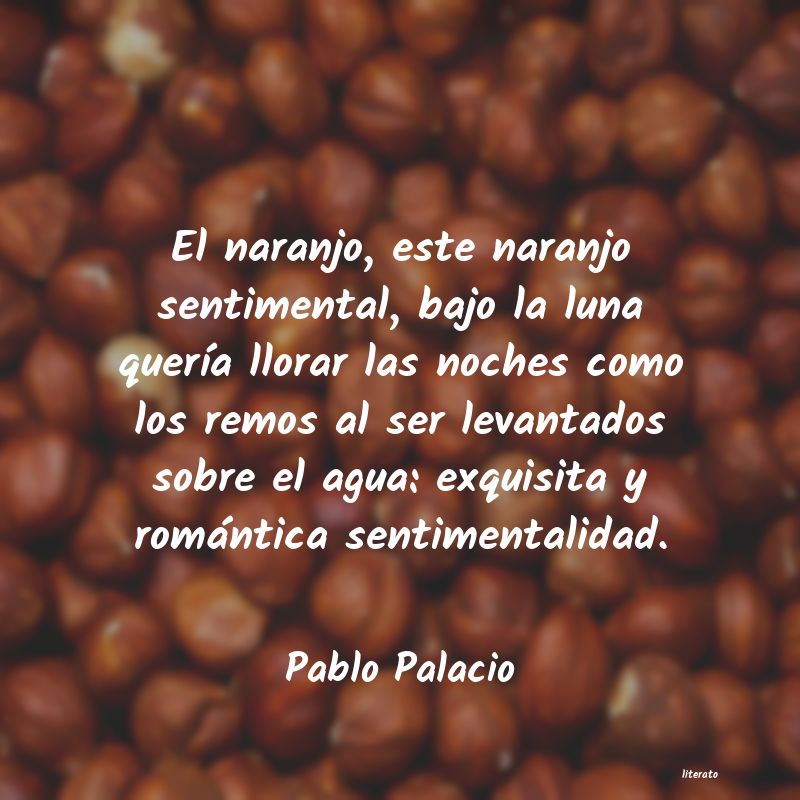 Frases de Pablo Palacio
