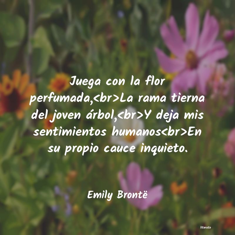 Frases de Emily Brontë