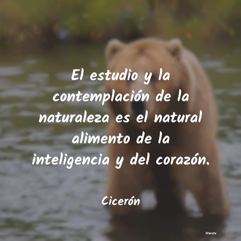 Frases de Cicerón