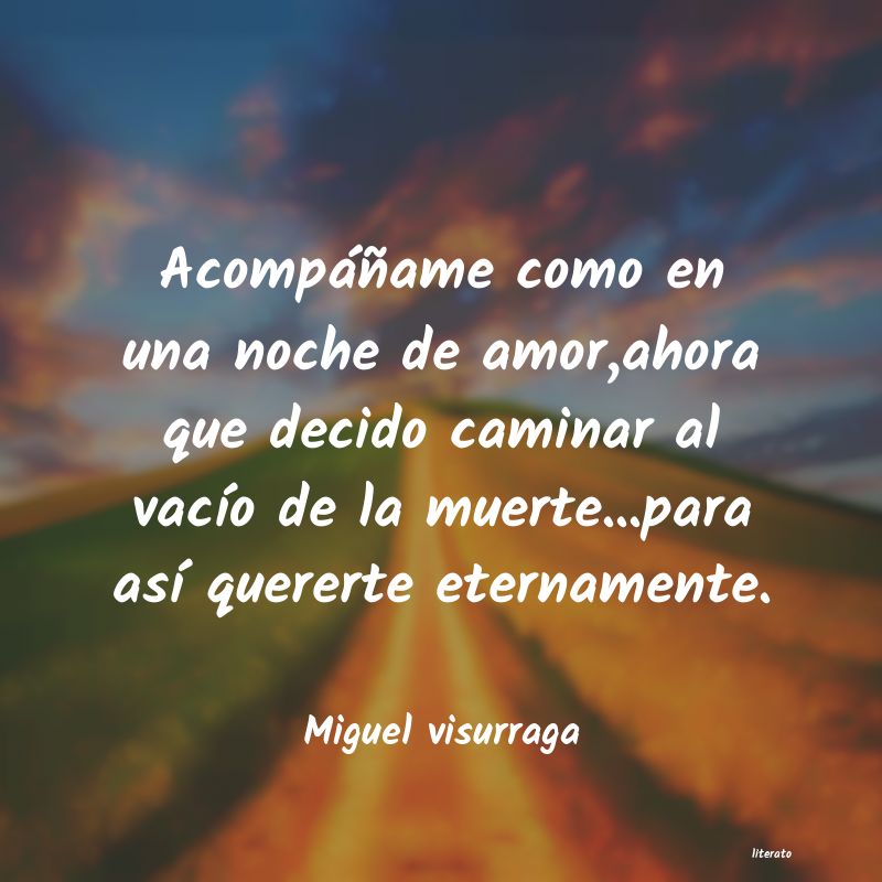 Frases de Miguel visurraga